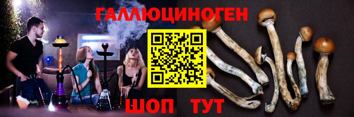 Псилоцибиновые грибы мицелий  Вход с VPN  Дубна 