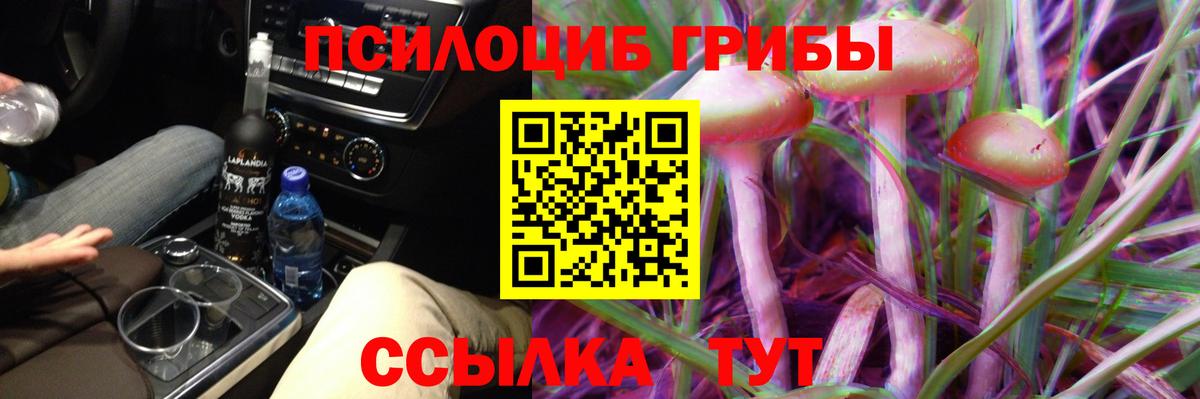 Псилоцибиновые грибы Magic Shrooms Дубна